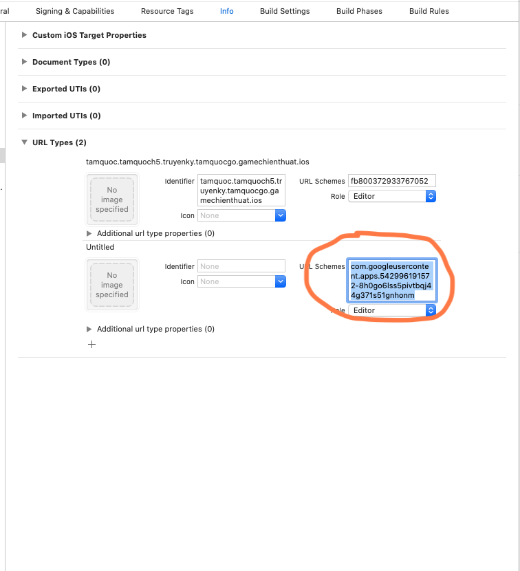 _images/google-schema.png
